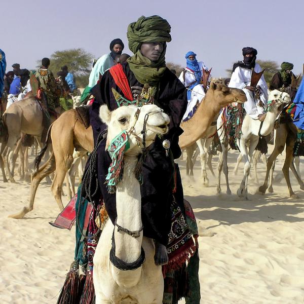 Humanitarian and Migration Dynamics in Niger: A Regional Analysis