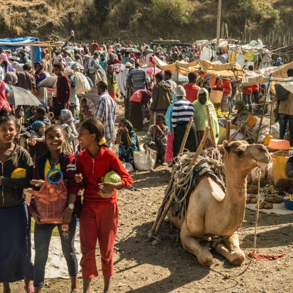 Tigray & Ethiopia: Post-conflict displacement and the challenge of reintegration